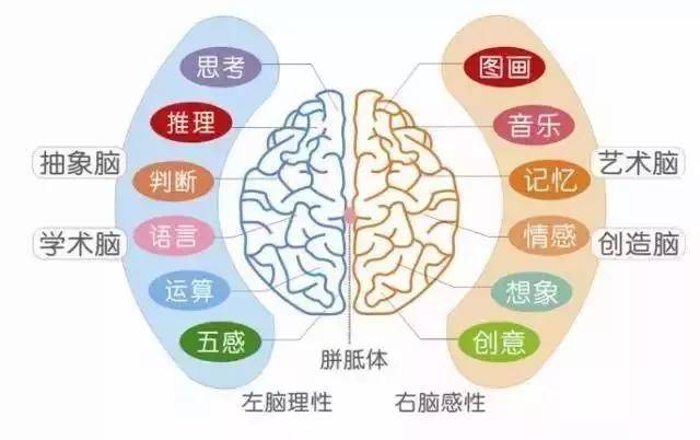探索现代丰胸医院的奥秘与重要性