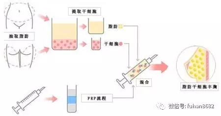 第1575页