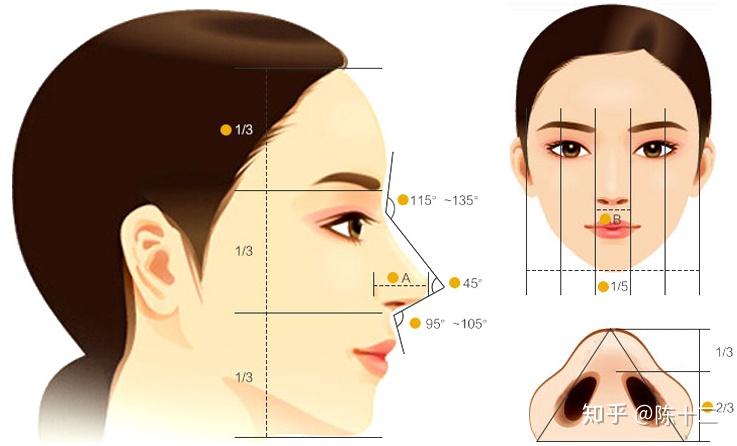 第1572页