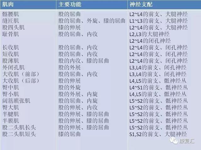 抽脂手术价目表详解，价格、因素与选择