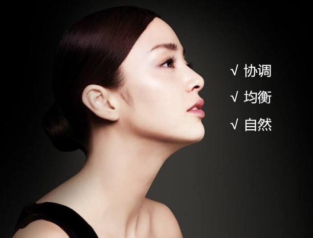 第1562页