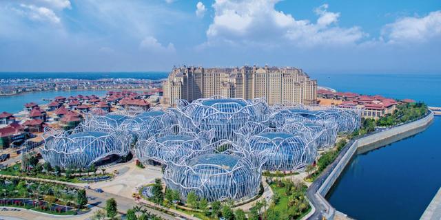 天鹅湖整形，重塑美丽的艺术之旅