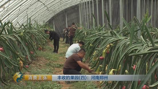 郑州种植牙价格及其相关因素探讨