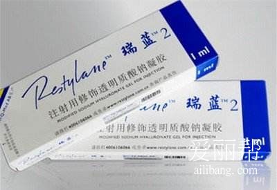 瑞兰二号的价格解析，多少钱是合理的？
