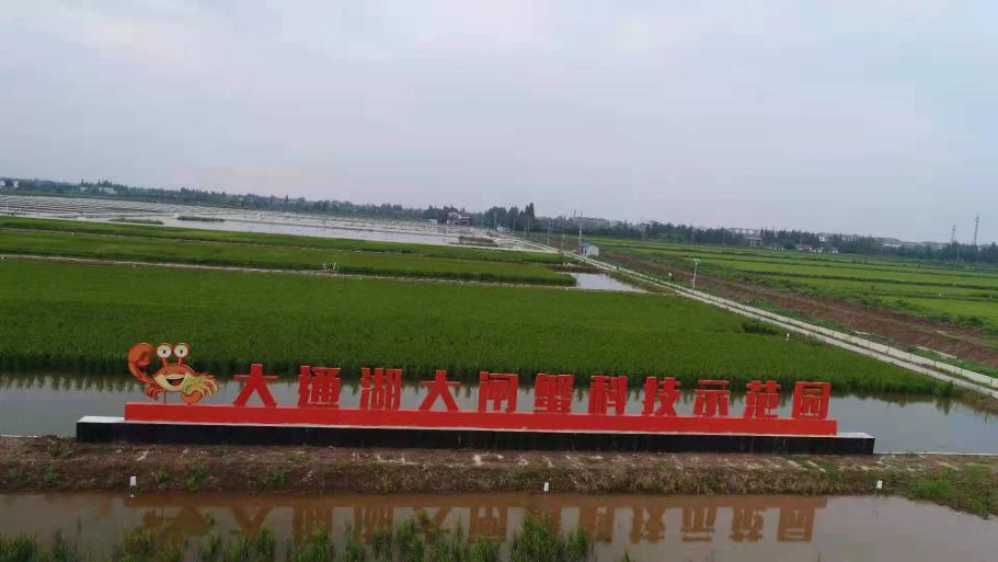 减肥医院的探索之旅，重塑健康与自信