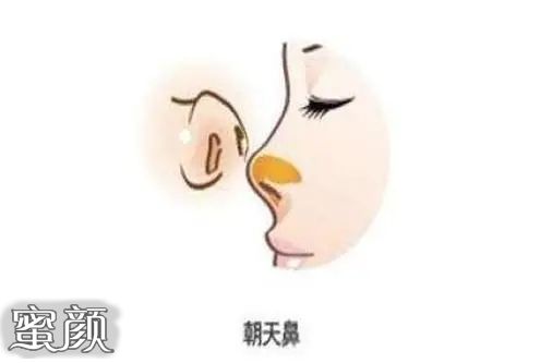 第1479页
