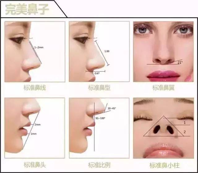 第1475页
