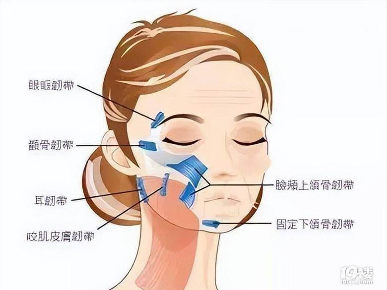第1470页