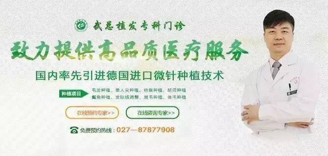 毛发种植技术，专业解析与优质选择建议