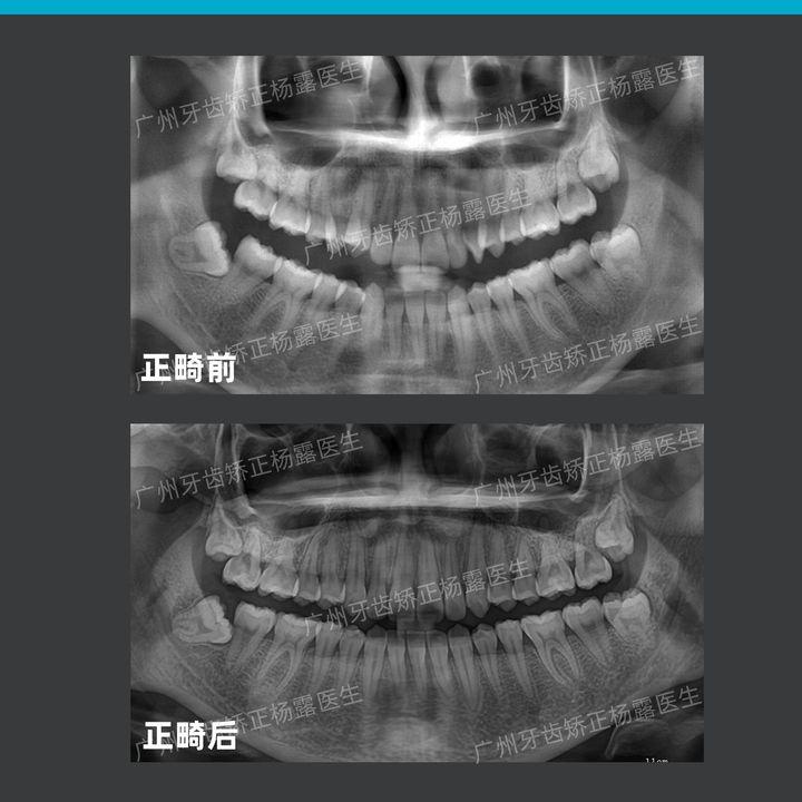 专业口腔医疗