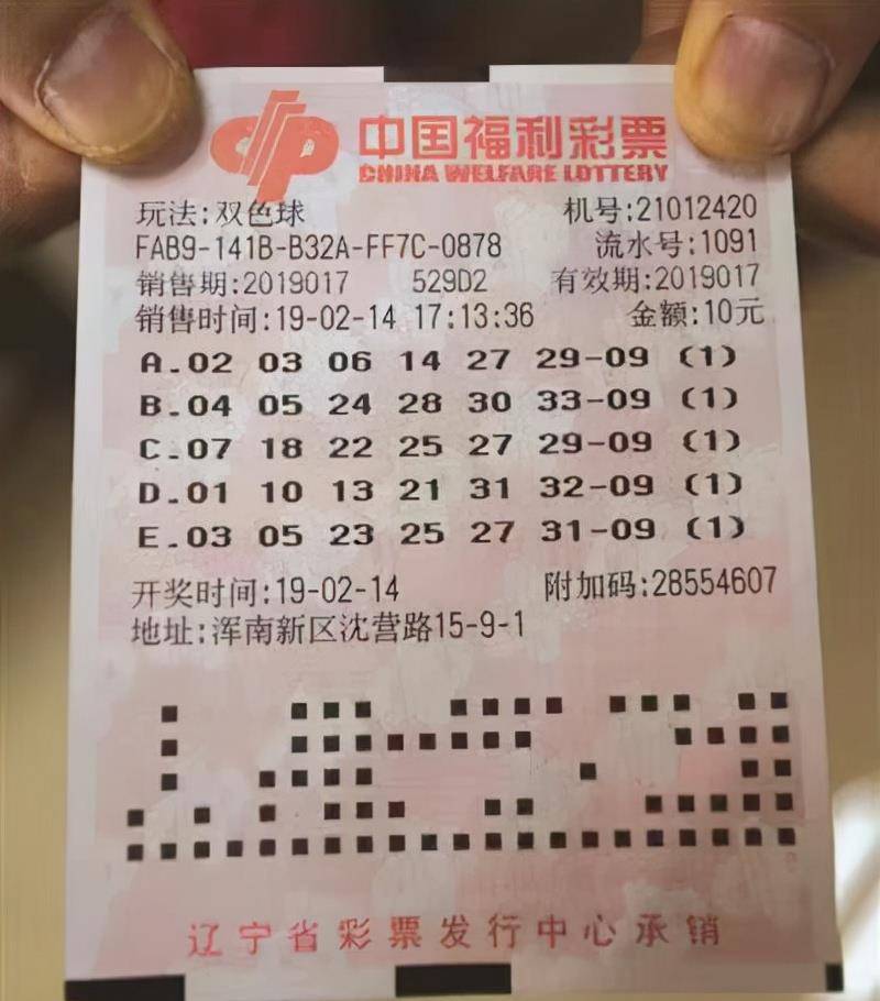 双色球中彩2元网走势图，揭秘彩票背后的秘密