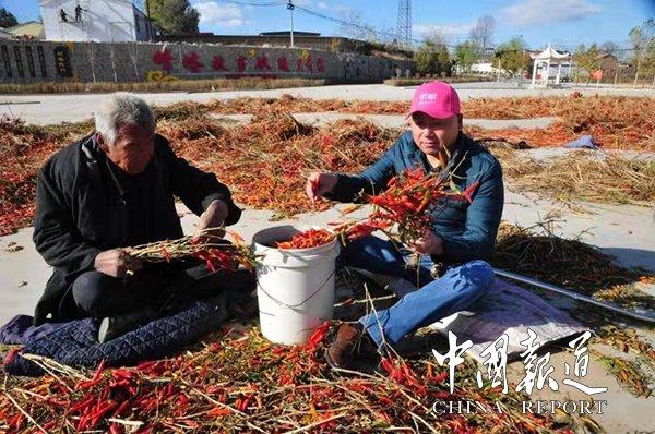 河北好运彩开奖结果揭晓，20选5的幸运儿揭晓之夜