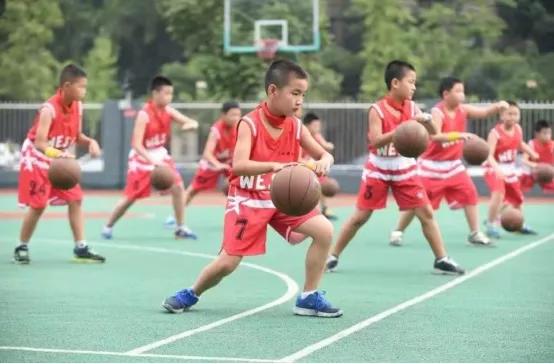 观看央视体育5直播，体验体育盛宴的无尽魅力