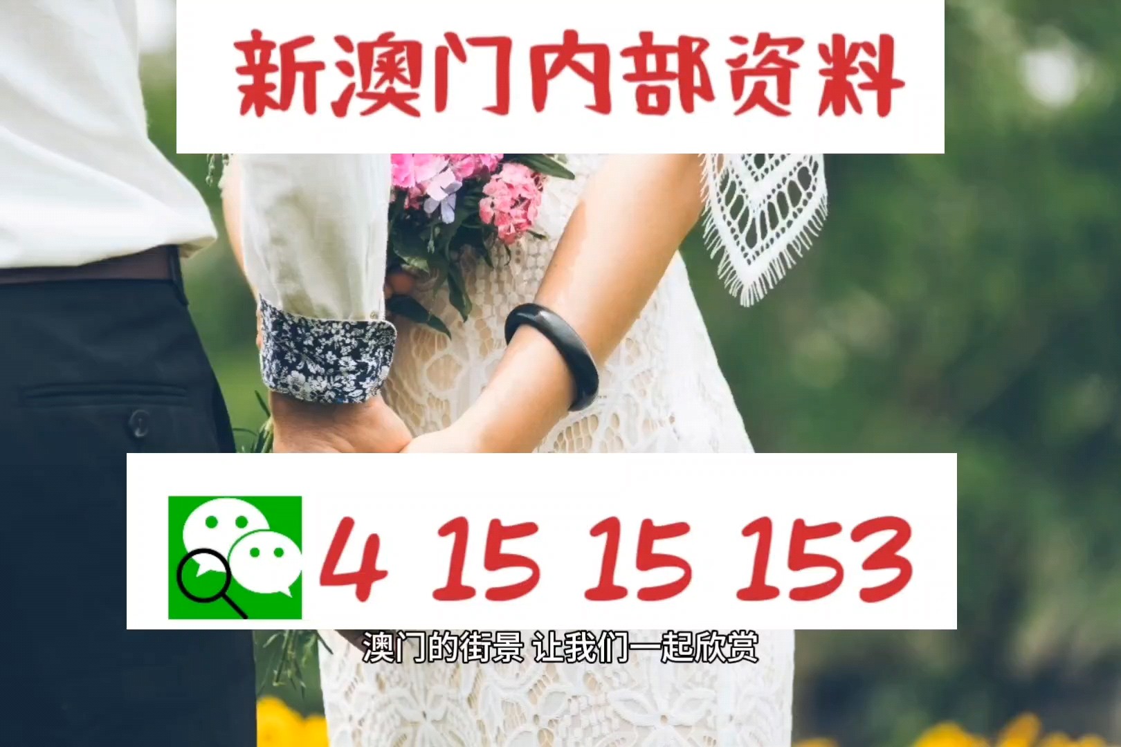 澳门最快最精准的资料解析