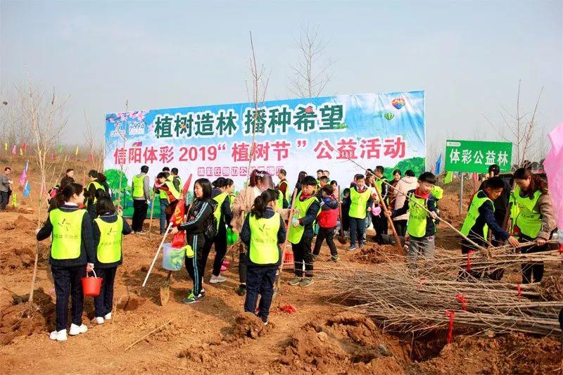 中国体育彩票大乐透查询，便捷、透明与乐趣的完美结合