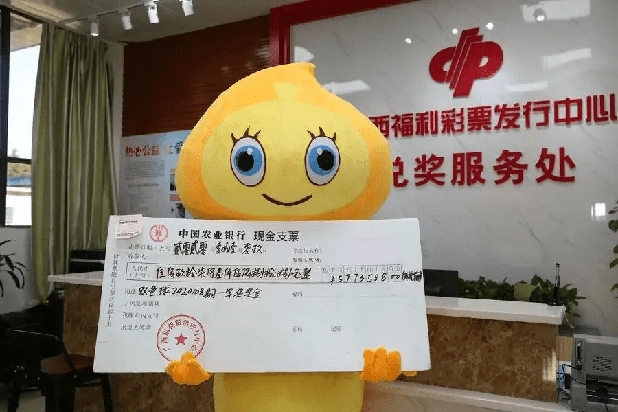 福利彩票双色球开奖查询结果，揭秘幸运背后的故事