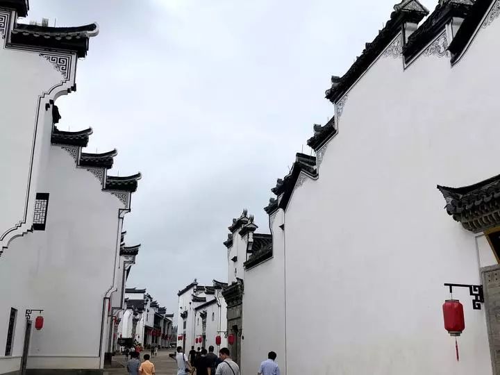 浙江风采网（旧版），历史风貌与地域文化的数字记忆
