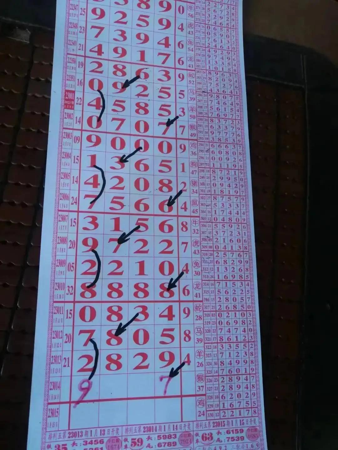 探索排列5近500期走势图，洞悉数字背后的秘密