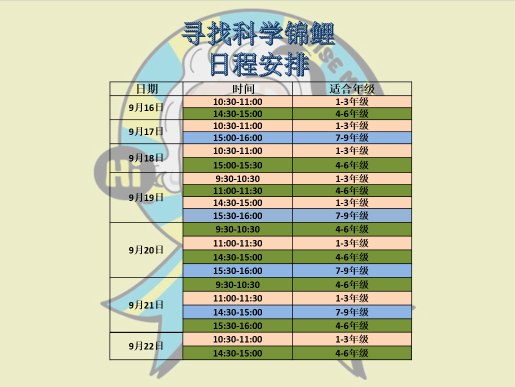 重庆时时开奖20分钟一期的魅力与挑战