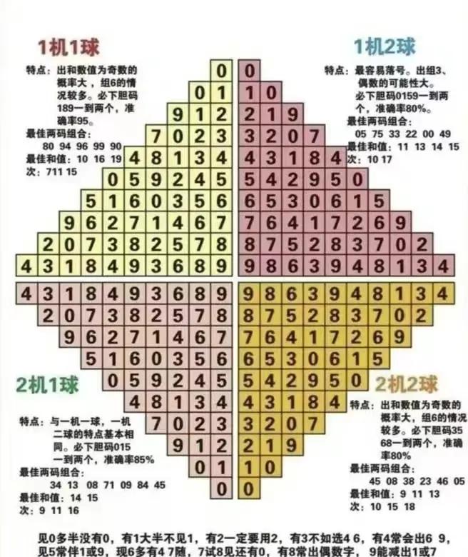 探索综合分布图3D走势与彩网图表的世界