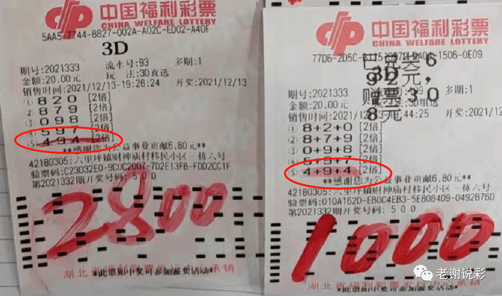福彩3D彩票字谜的魅力与探索
