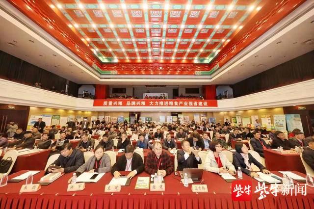 江苏体彩七位数历史数据查询，追溯与探索