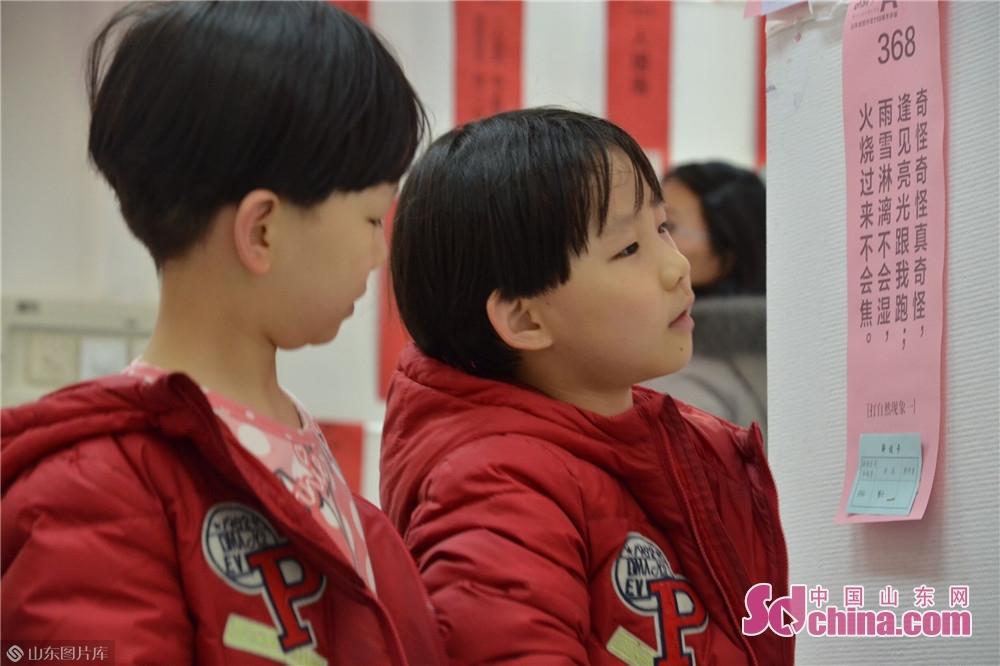 福彩3D多彩网字谜画谜，探索神秘世界的奇幻之旅