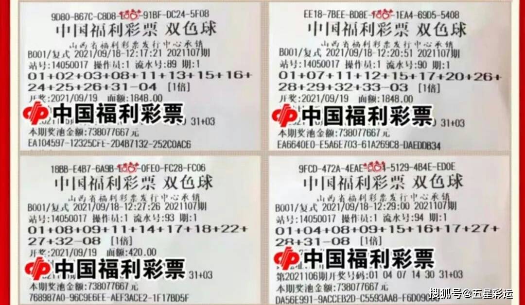 双色球复式投注中奖规则解析，关于双色球复式投注中的8+2模式