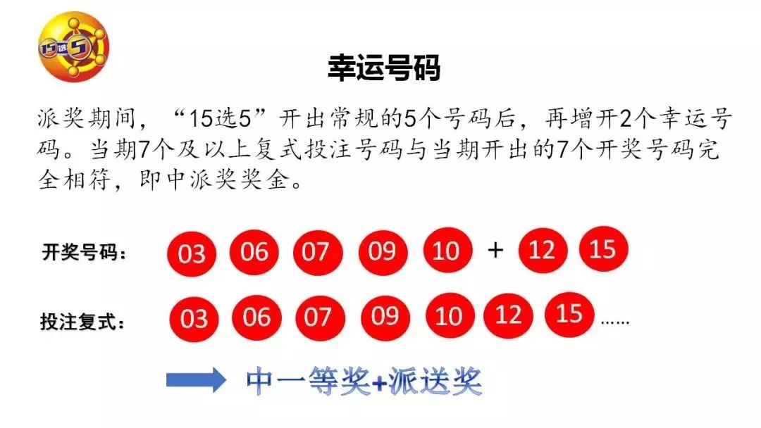 山东15选5开奖号码结果揭晓，幸运与数字的碰撞