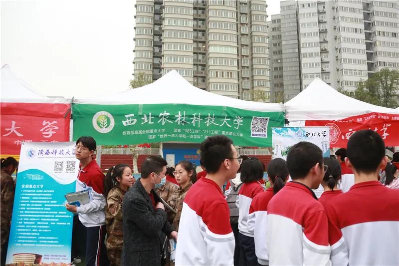 河南福彩双色球22选5开奖结果，梦想与幸运的交汇点