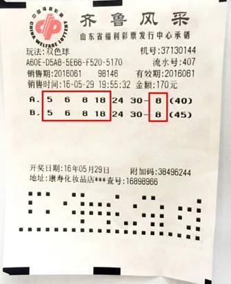 双色球走势图浙江风采300期，探索数字世界的奥秘与魅力