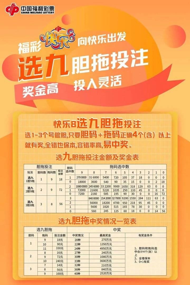 二十选五胆拖计算表——彩票选号决策的新视角