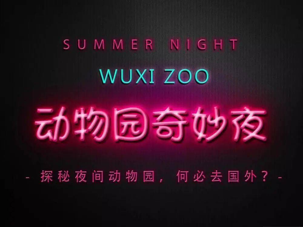 揭秘三D太湖字迷，探索神秘文化现象的背后