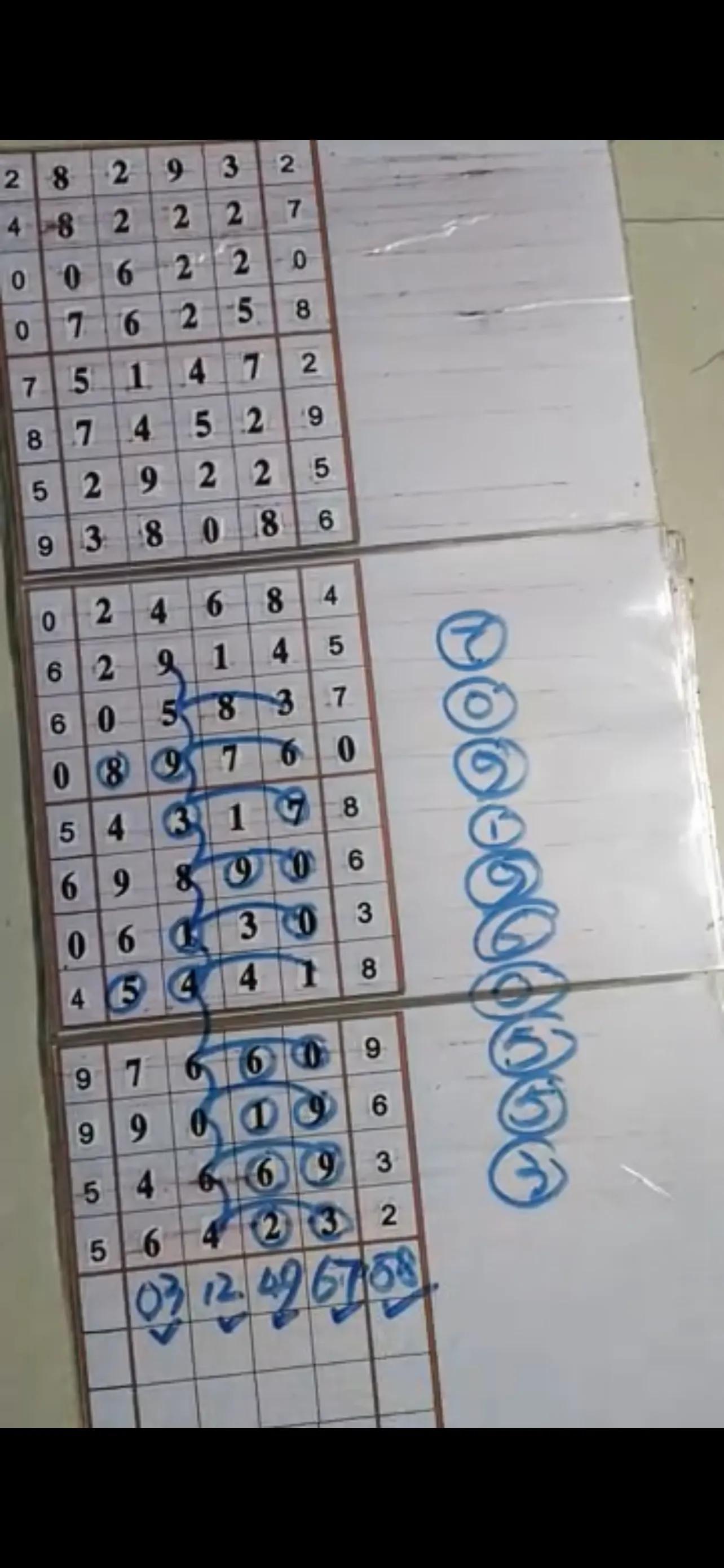 福建彩票31选七走势图，探索数字彩票的魅力与策略