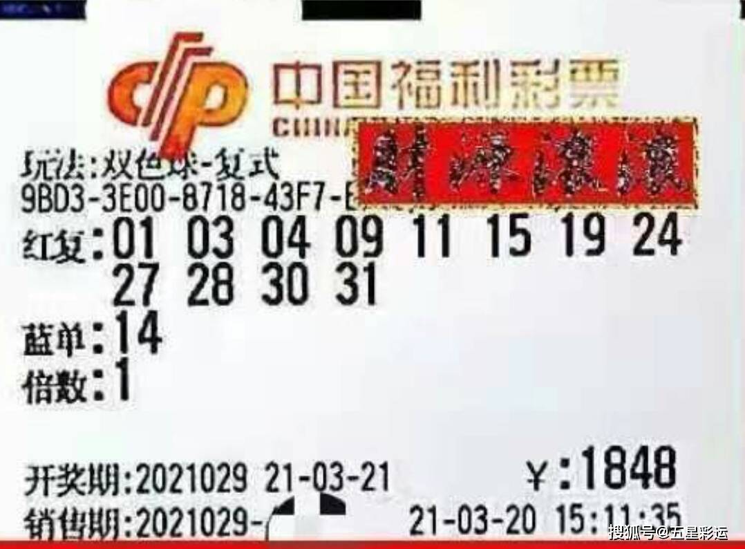 双色球开奖结果2013年年度回顾，幸运与梦想的交汇点
