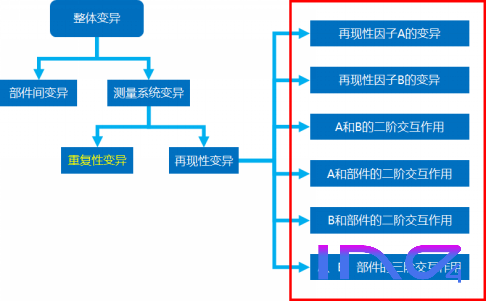 从众多选择中挑选，探索10选5的智慧与策略