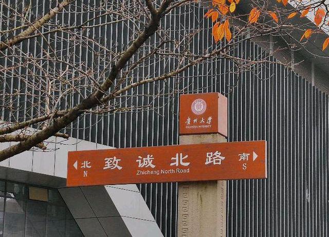 体育彩票贵州11选五，梦想与希望的游戏