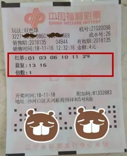 双色球2013年首期开奖结果揭晓，幸运与惊喜交织之夜