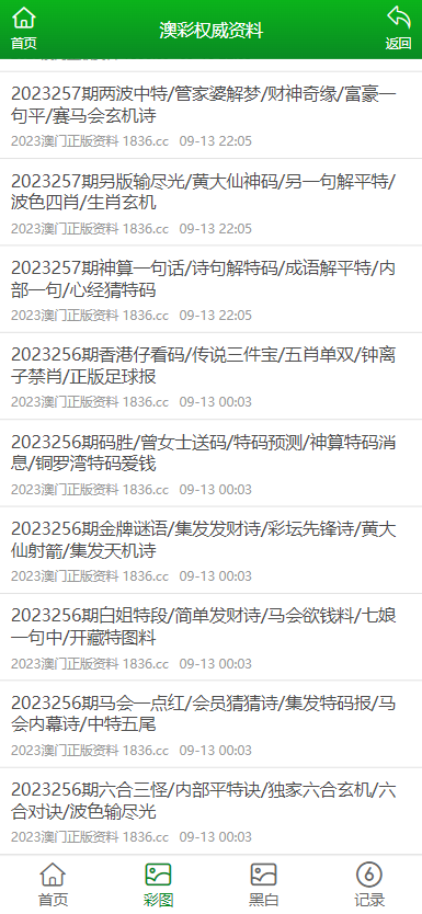 澳门正版资料免费大全2020年资料，探索与解析