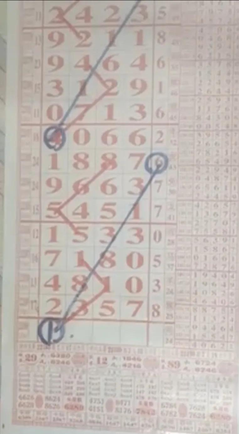 探索排列五综合走势，深入解析100期走势图