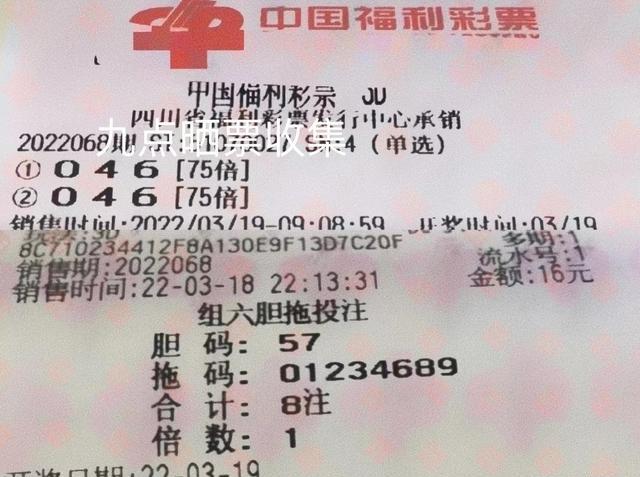 福彩3D最全大底揭秘，探索彩票世界的奥秘与希望