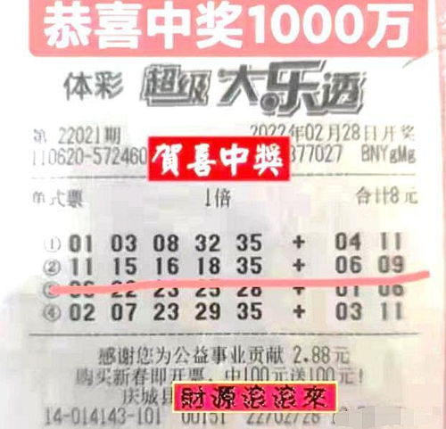 随机选大乐透一注，探索彩票背后的故事与梦想