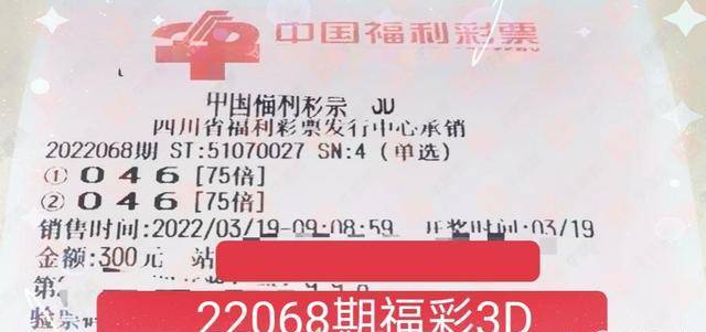 梦想与希望交织