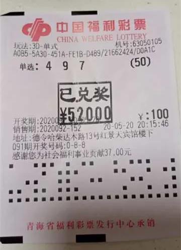 今日3D开奖结果查询表，探索彩票世界的神秘之旅