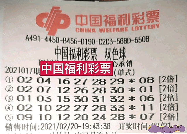 双色球第141期开奖号码揭晓，揭秘幸运之轮的秘密