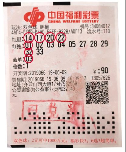 双色球第XXXX期开奖号码查询，揭秘与探索彩票背后的故事