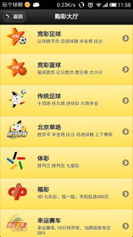 彩票乐选8玩法，探索与体验