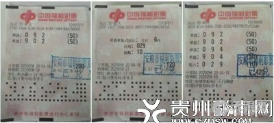 长沙市福利彩票发行中心官网，探索彩票世界的门户