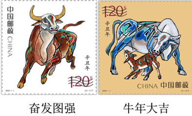 一肖特马中特资料公开区，揭秘与探索