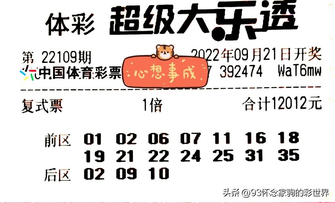 彩票大乐透中奖，梦想与现实的交汇点